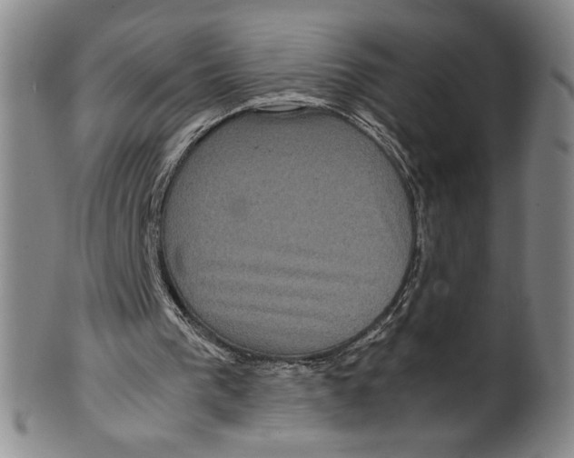 X0000100400193200806271428