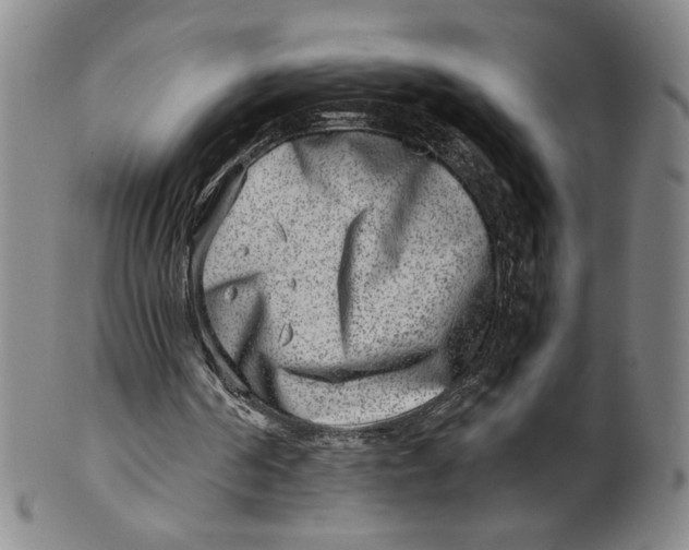 X0000100400194200806271428