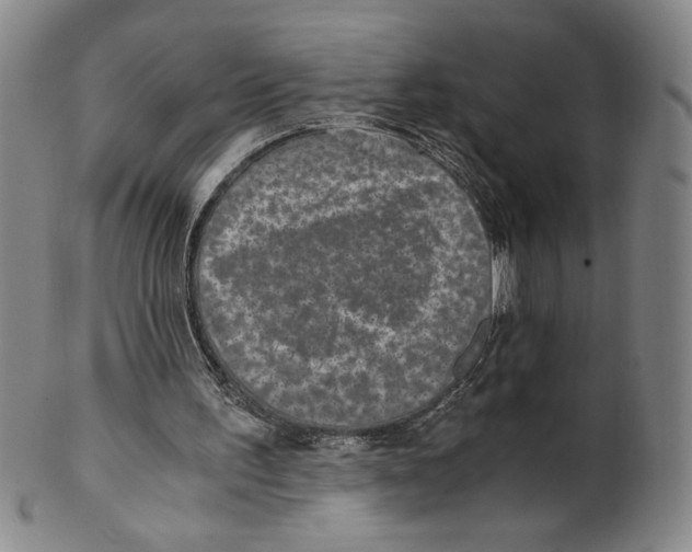X0000100400195200806271428