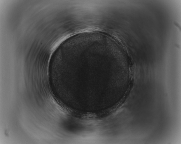 X0000100400196200806271428