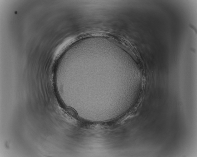 X0000100400197200806271428
