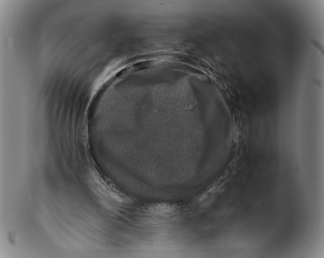 X0000100400198200806271428