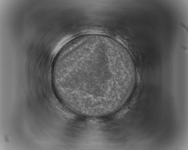 X0000100400199200806271428