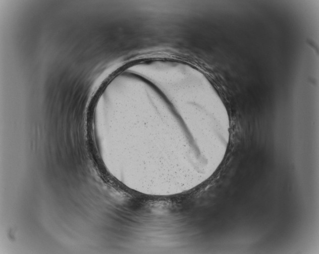 X0000100400200200806271428