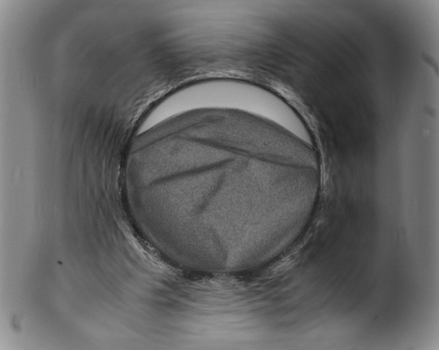 X0000100400201200806271428
