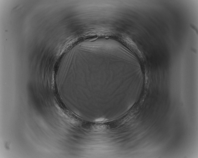 X0000100400202200806271428