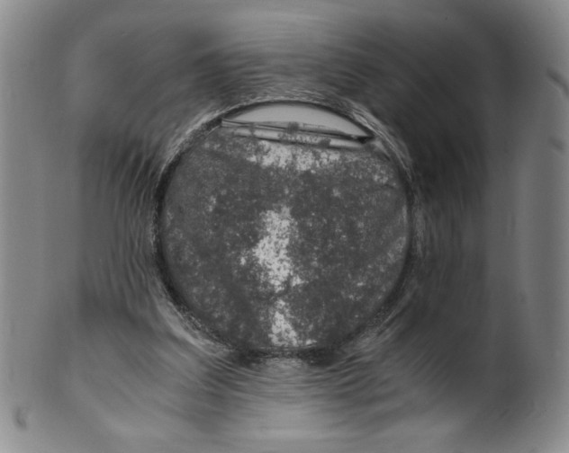 X0000100400203200806271428