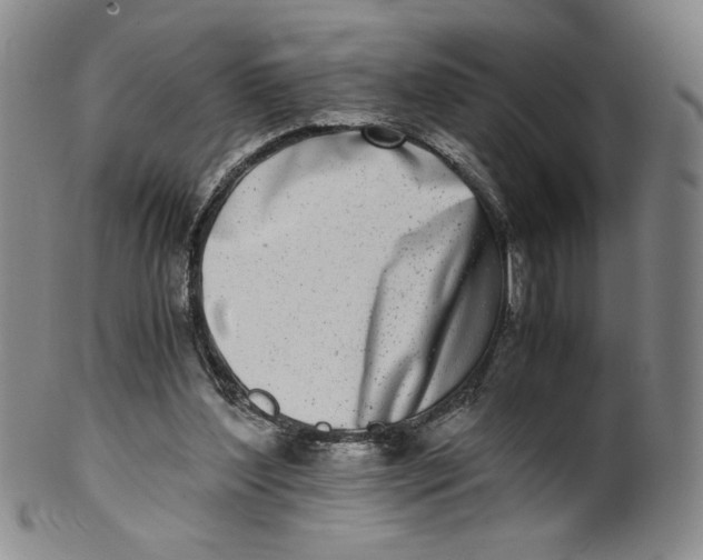 X0000100400204200806271428