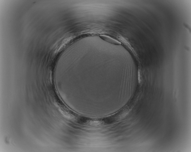X0000100400205200806271428