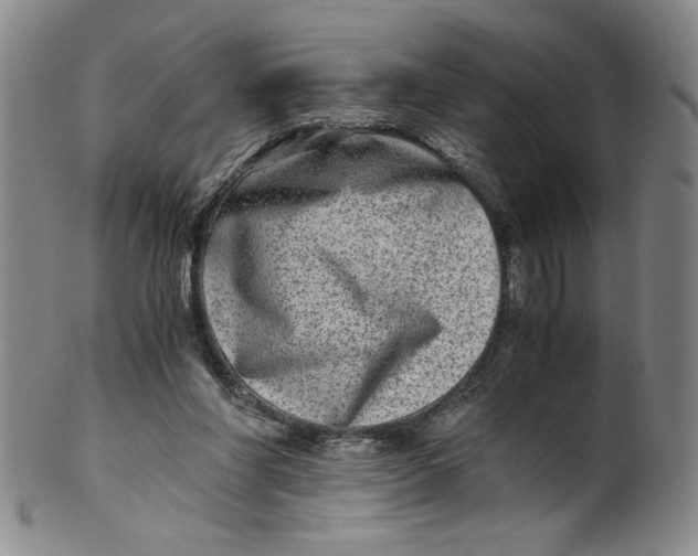 X0000100400206200806271428