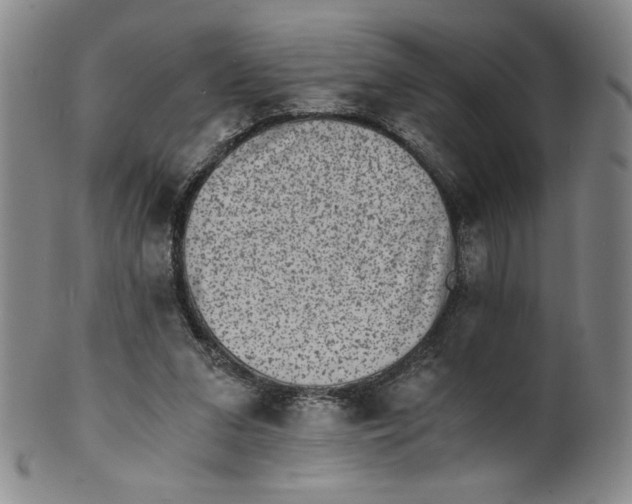 X0000100400207200806271428