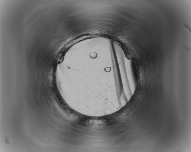 X0000100400208200806271428