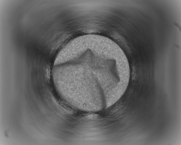 X0000100400210200806271428