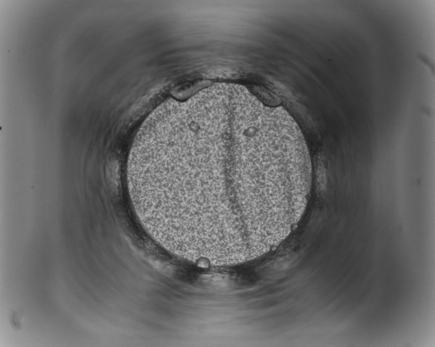 X0000100400211200806271428