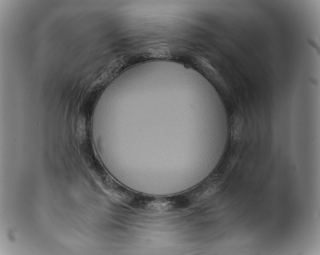 X0000100400213200806271428