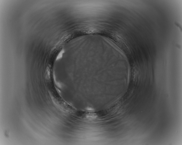 X0000100400214200806271428