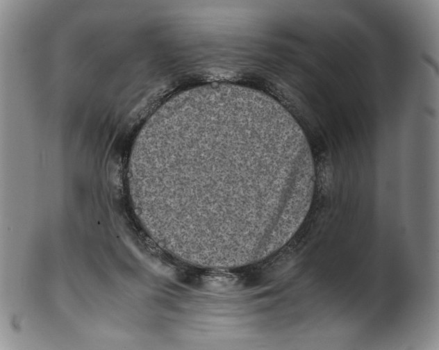 X0000100400215200806271428