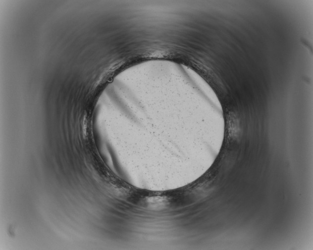 X0000100400216200806271428