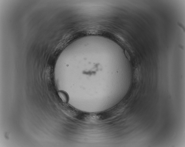 X0000100400217200806271428