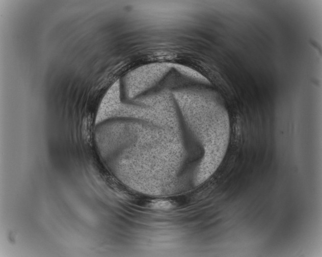 X0000100400218200806271428