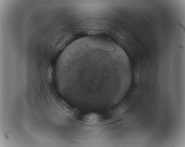 X0000100400219200806271428