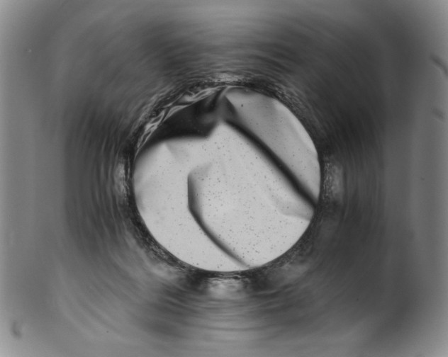 X0000100400220200806271428