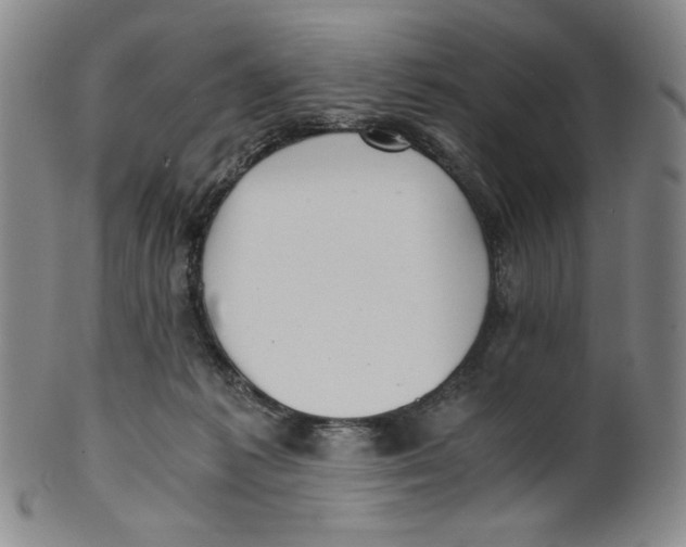 X0000100400221200806271428