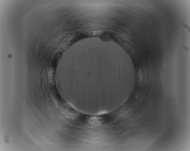 X0000100400222200806271428