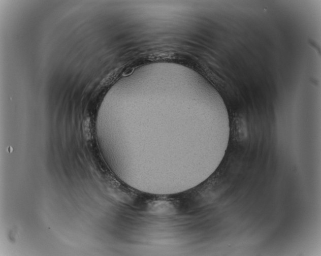 X0000100400224200806271428