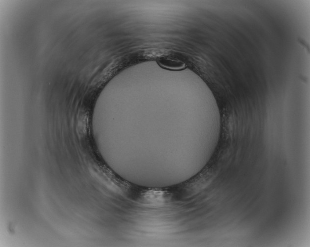 X0000100400227200806271428