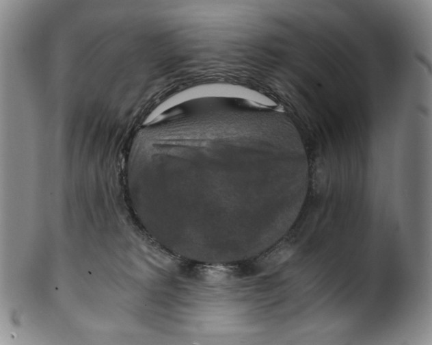 X0000100400229200806271428