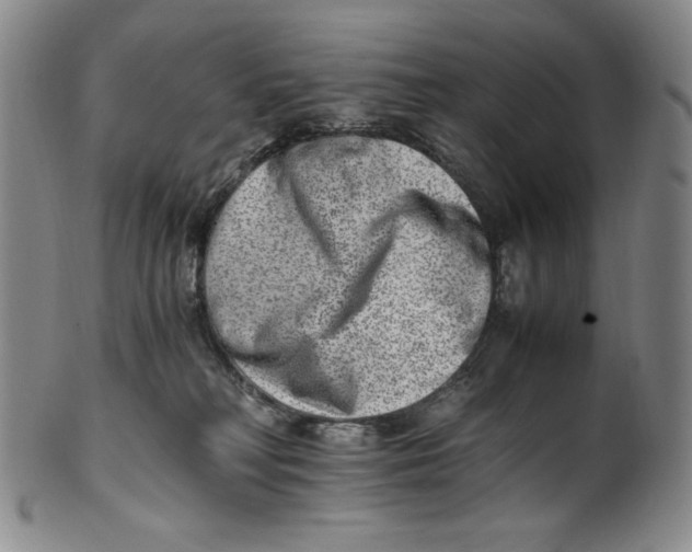 X0000100400230200806271428