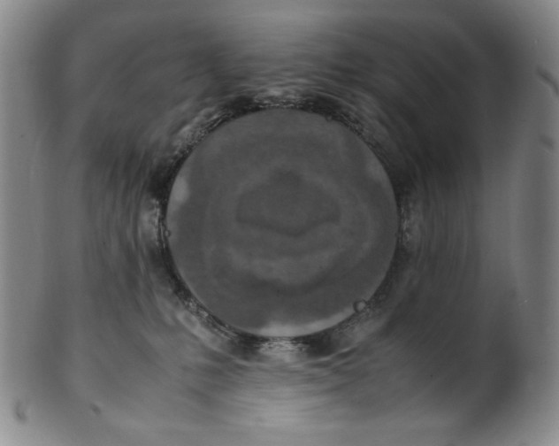 X0000100400231200806271428