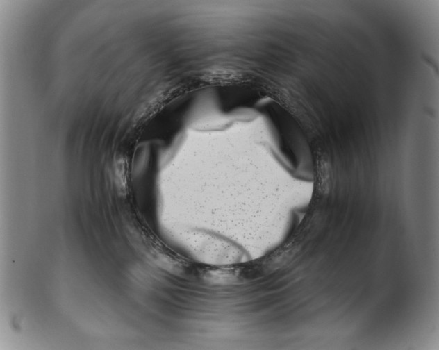 X0000100400232200806271428