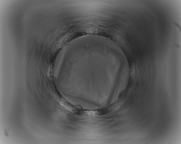X0000100400233200806271428