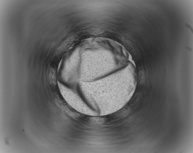 X0000100400234200806271428