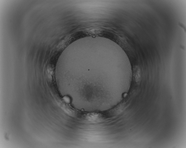 X0000100400235200806271428