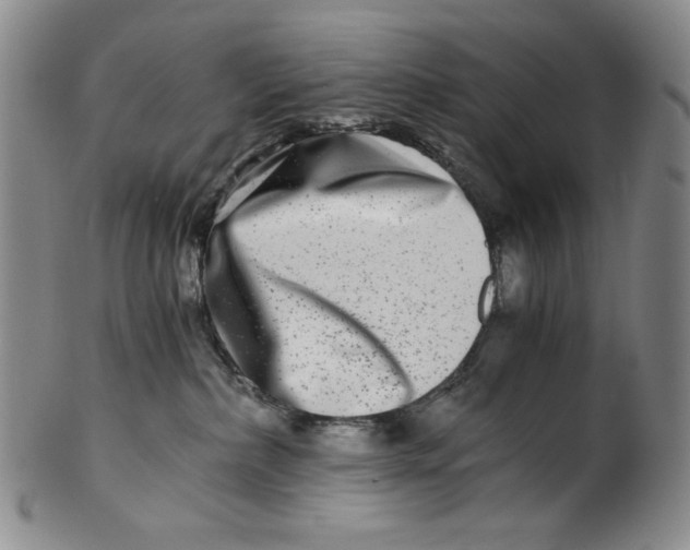 X0000100400236200806271428