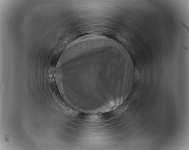 X0000100400237200806271428