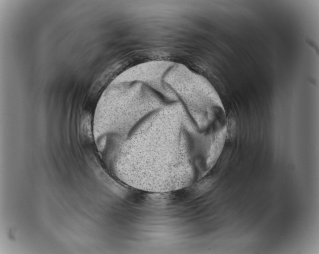 X0000100400238200806271427