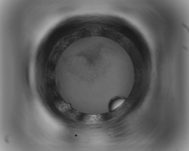 X0000100400239200806271427