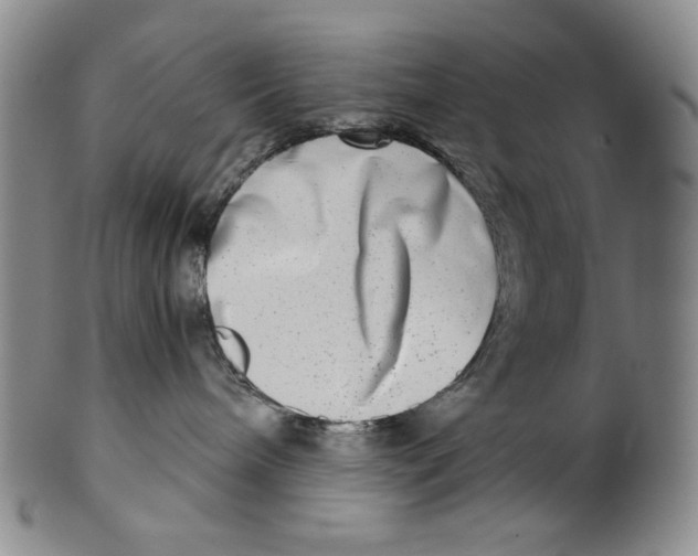 X0000100400240200806271427