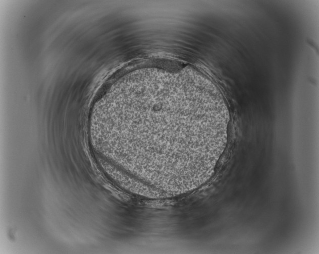 X0000100400241200806271427