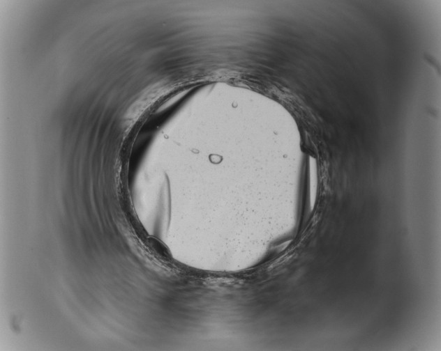 X0000100400242200806271427