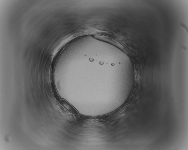 X0000100400244200806271427