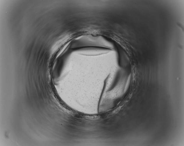 X0000100400245200806271427