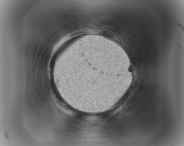 X0000100400246200806271427