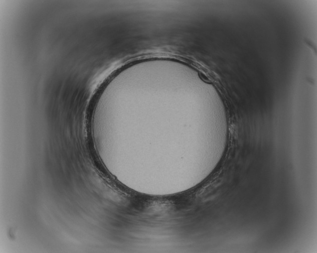 X0000100400248200806271427