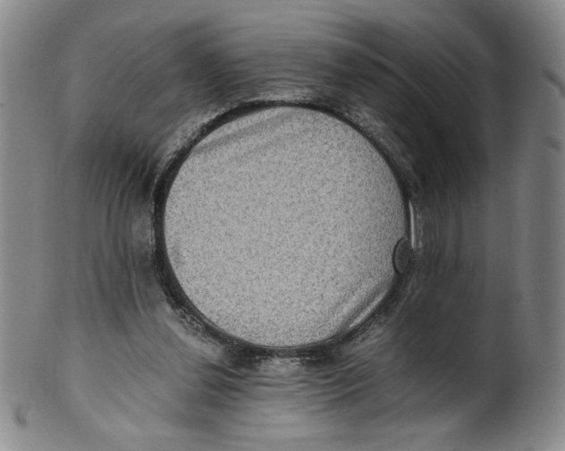 X0000100400252200806271427