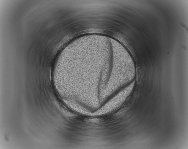 X0000100400253200806271427